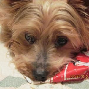 Meet your Posher, Julia